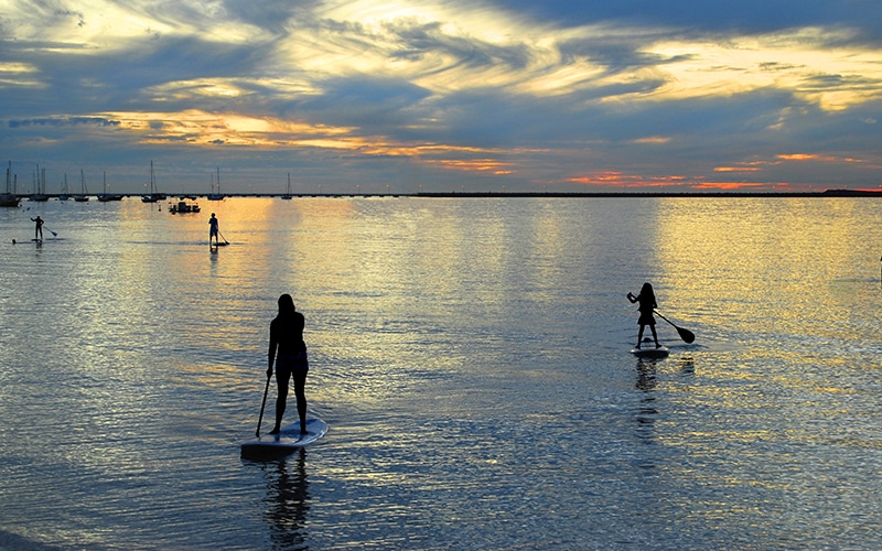 Active San Diego Top Activities Stand Up Paddle Boarding