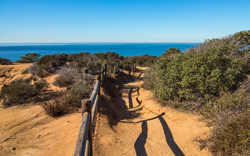 San Diego Hiking Trails Torrey Pines State Reserve