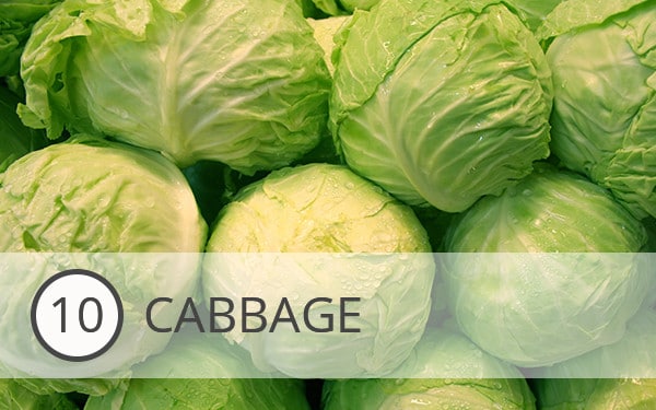 10 - Cabbage - What to Eat This Month - December's Top 10 Veggies
