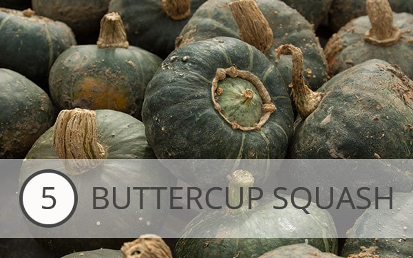 5 - Buttercup Squash - What to Eat This Month - December's Top 10 Veggies