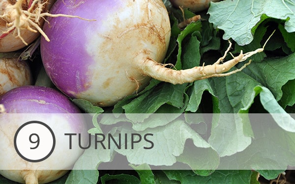 9 - Turnips - What to Eat This Month - December's Top 10 Veggies